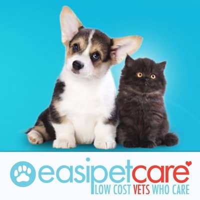 Easipet Care Vet